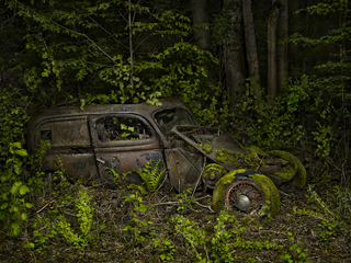 Illustration for article titled Photos of the abandoned antique cars nature has reclaimed